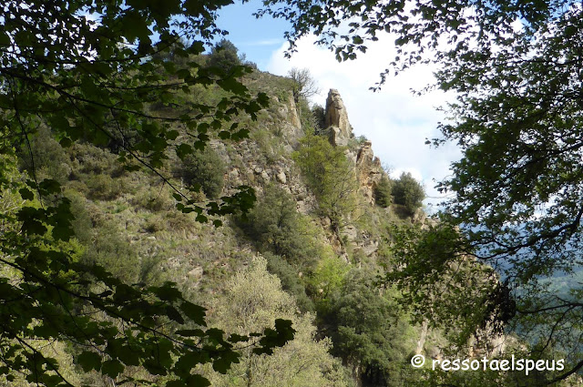 Mirador del Puig Rodó pel camí dels Bous