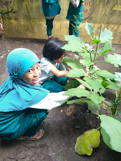 Berkebun