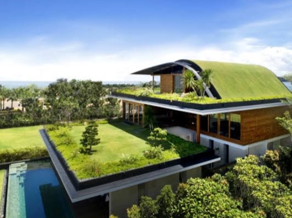 Best 4 Green Roof Buildings