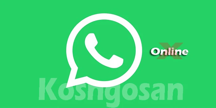menghilangkan status online whatsapp