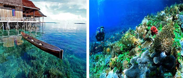 https://FindWisata.blogspot.com | Destinasi Favorit Untuk Diving Dan Snorkeling Di Nusa Tenggara Timur 