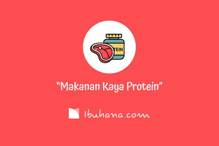 makanan kaya protein