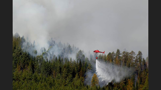 Fler EU-helikoptrar begärs till bränderna
