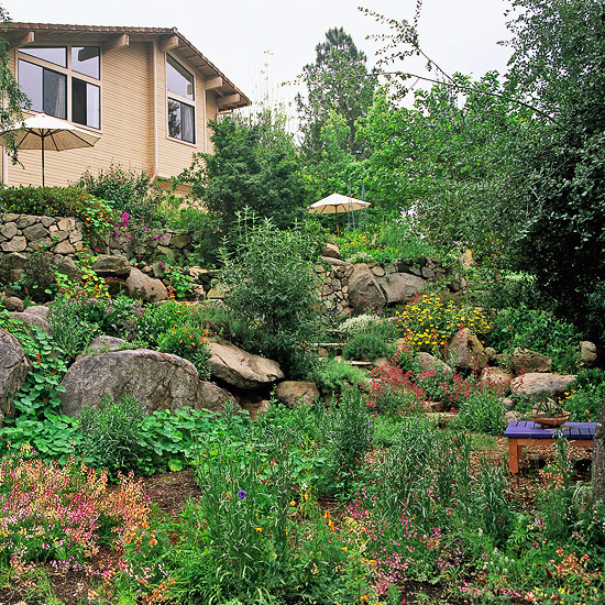 Landscaping For Slopes