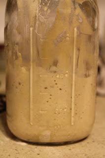 Sourdough Starter