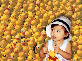 NingShyn Count Yellow Duck