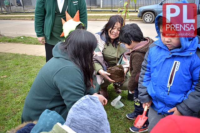 Osorno: Junta de vecinos plantó árboles nativos con jardines infantiles en Villa Lololhue