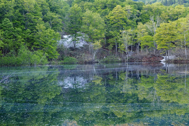 #photo #landscape #sigma #foveon #sdquattroh #japan #nishikawa #写真 #風景写真 #山形帝國 #山形県 #西川町