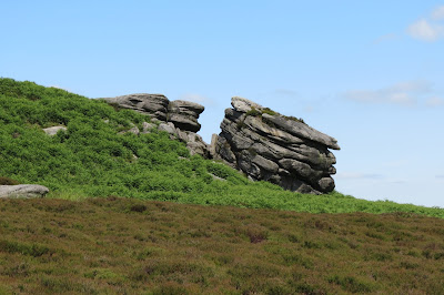 A gritstone outcrop rising out of heather and bracken.