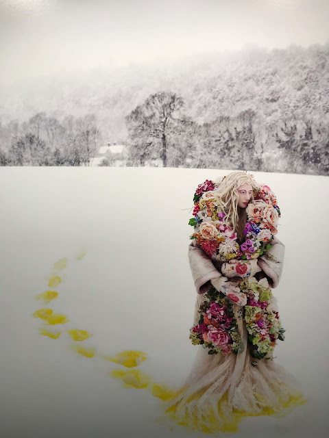 A blonde woman dressed in a romantic flowery dress and overcoat, her bright yellow footsteps show in the deep white snow.