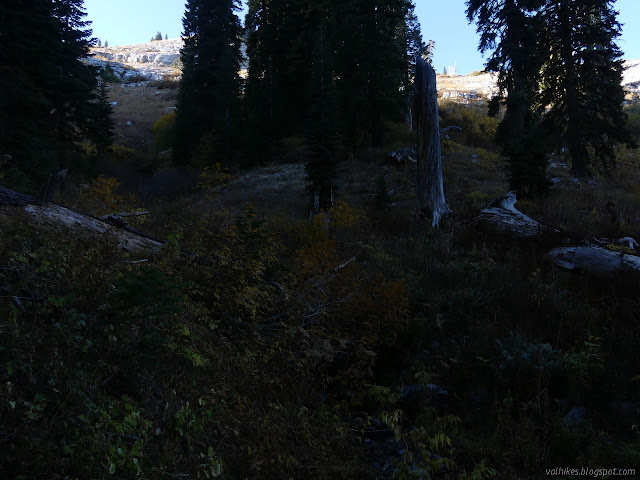 a few trees and a lot of chalk on a continuous slope