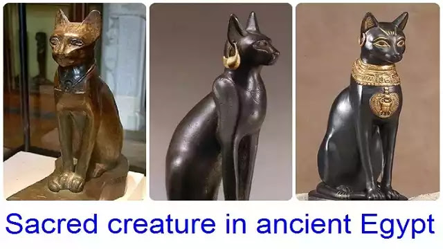 images Sacred Egyptian Bird Crossword Clue ancient egypt crossword clue answers