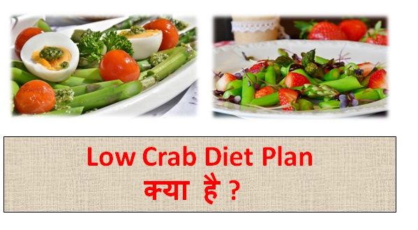 Low Carb Diet की जानकारी | Low Carb Diet Plan Kya Hai | Low carb diet Plan  कैसे काम करता है  / How Low carb diet Plan Woks - In Hindi