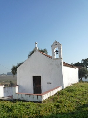 P1000323