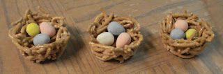 Bird Nests