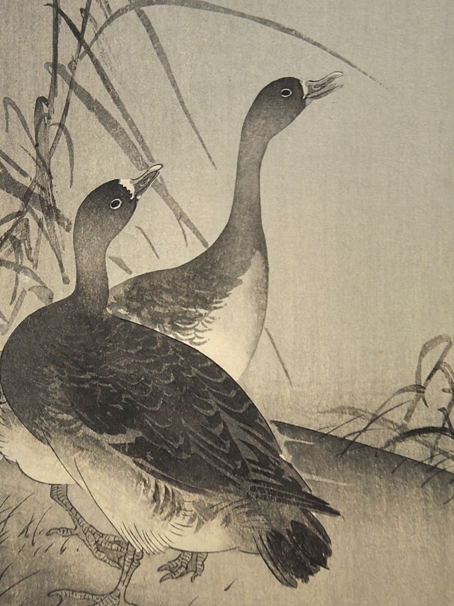 Brussel: museum voor kunst en geschiedenis: Shin hanga - De nieuwe prenten van Japan (1900-1960)