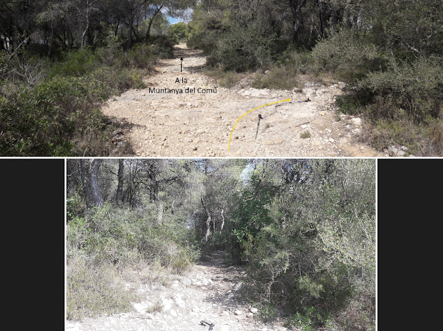 CALAFELL-MONTPAÓ-URBANITZACIÓ VALLDEMAR-TORRE D'EN VIOLA- EL PUJAL-LA TALAIA,  camí a la Muntanya del Comú de Calafell