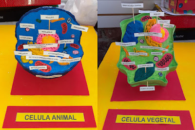 Maquetas de Células