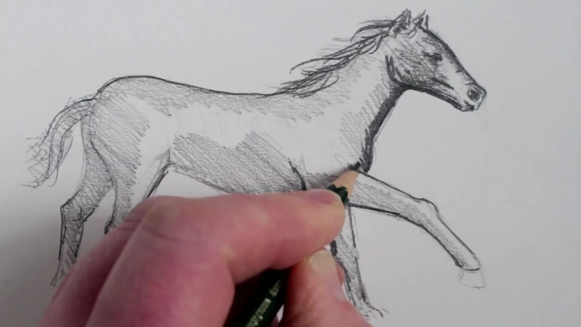 رسم حصان بالرصاص