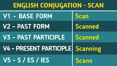 English conjugation, Conjugating Verbs of scan, scan Verb Forms v1 v2 v3 v4 v5,scan English Grammar,scan Verb Tenses, present tense of scan, Past Tense of scan, Future Tense of scan,