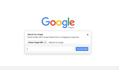 uploading an image on google images to see detail