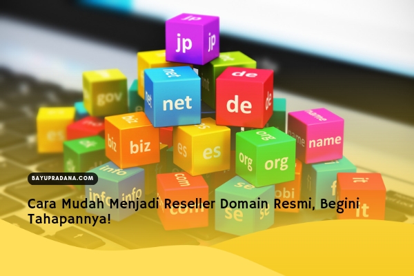 Reseller Domain, Cara Menjadi Reseller Domain, RNA.ID, Reseller, Domain