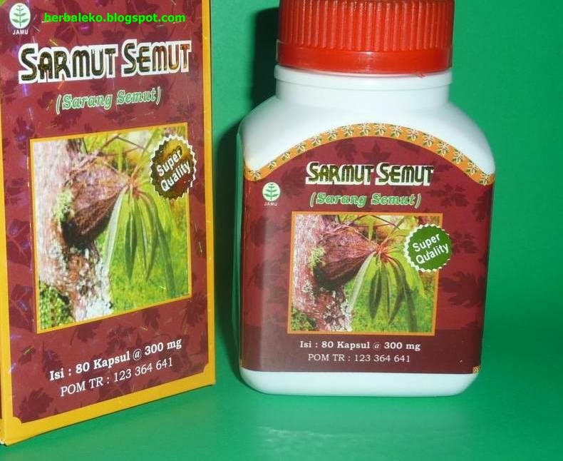 Jual kapsul sarang semut ekstrak murni F