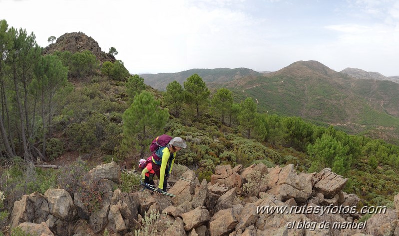 Cerro del Duque