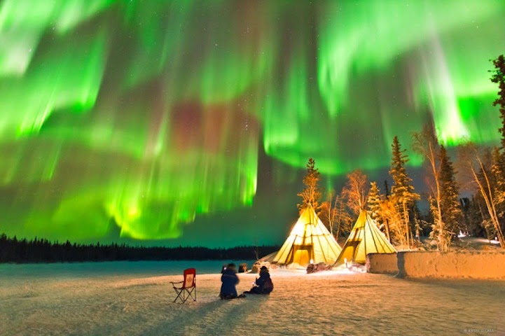 Dazzling Displays of Aurora Borealis Dance Across the Night Sky