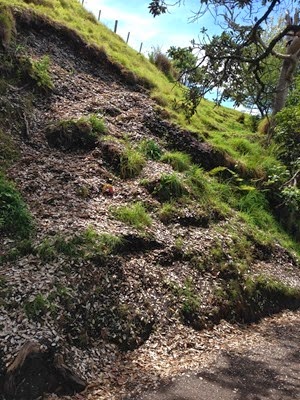 IMG_1174 IMG_1174