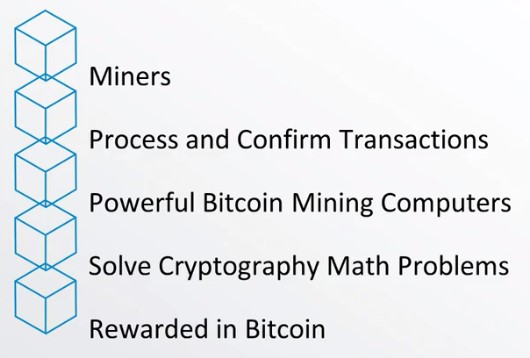 The Role of Bitcoin Miners