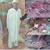 3 headless bodies found in 80-year-old herbalist’s house in Osun .