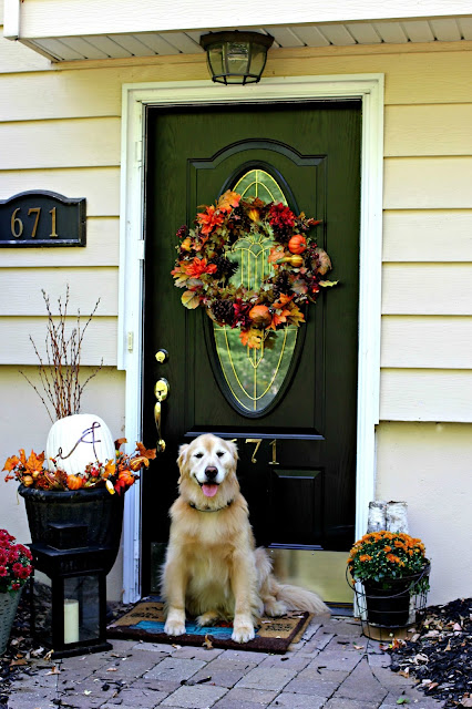 Golden retriever in front of fall front door-www.goldenboysandme.com