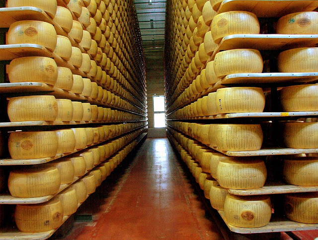 Cheese Parmigiano Reggiano