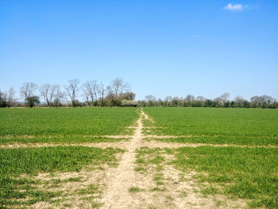 Braughing restricted byway 31 heading towards Hormead footpath 21