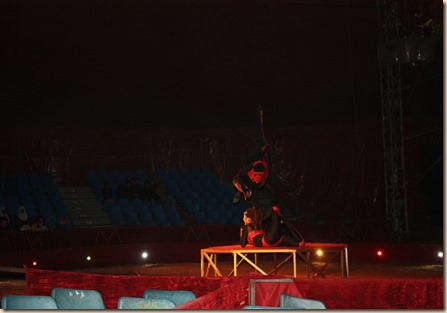 IMG_4146 IMG_4146