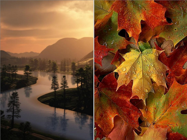 These 100+ Beautiful Autumn Photos Will Inspire You To Grab Your Camera