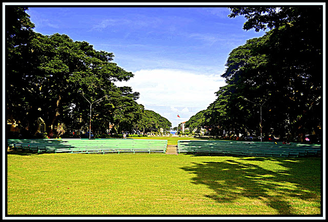 Silliman+amphitheatre.jpg