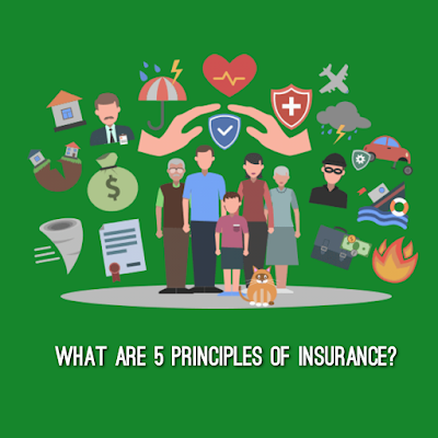 What are 5 principles of insurance?