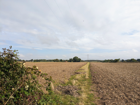 Follow Stanstead Abbotts footpath 6 NE between the fields