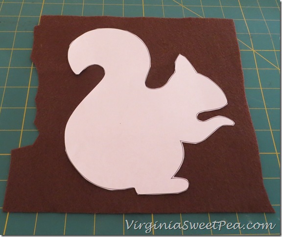 Squirrel Pattern