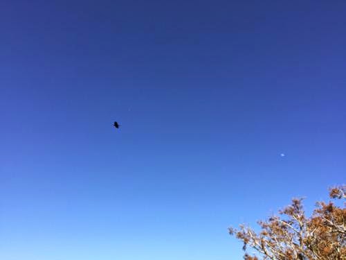 Ufo News White Glowing Ufo Caught Flying Above Usa 2015