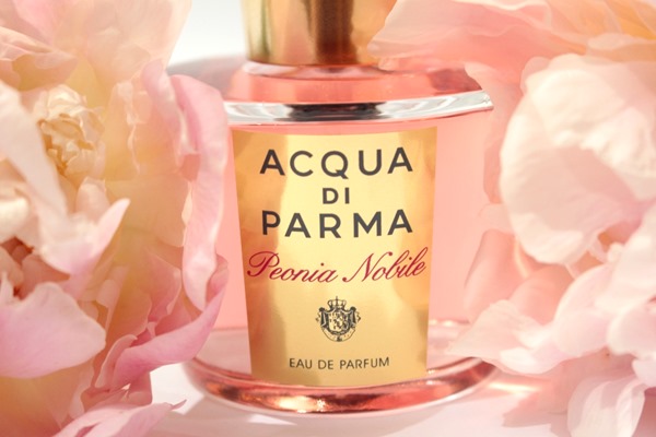 PeoniaNobileAcquaDiParma3_