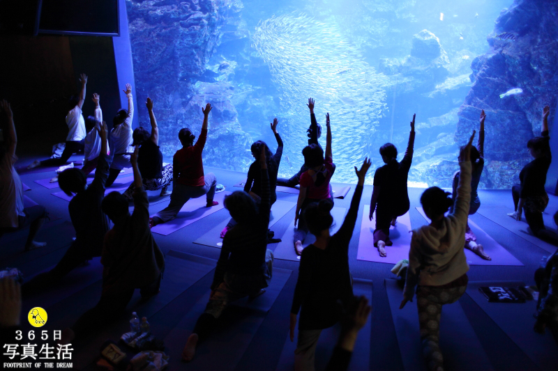 ISETAN×京都ヨーガ協会 発！ヨガイベントの出張撮影 in 京都水族館