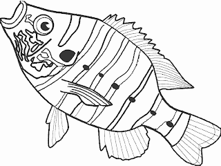 fish coloring pages, free coloring pages