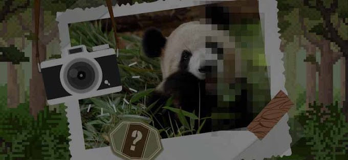 Pixelated Animals Quiz Answers 100% Score Quiz Facts