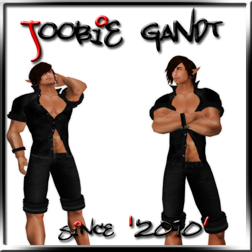 Joobie Gandt The Second Addiction