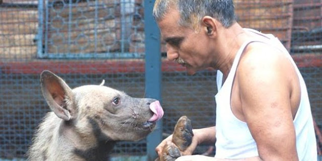 Pria ini Punya Rumah Seperti Kebun Binatang