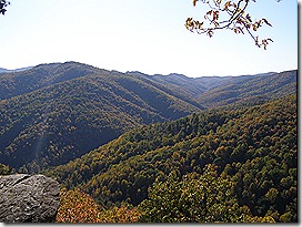 PA264043a