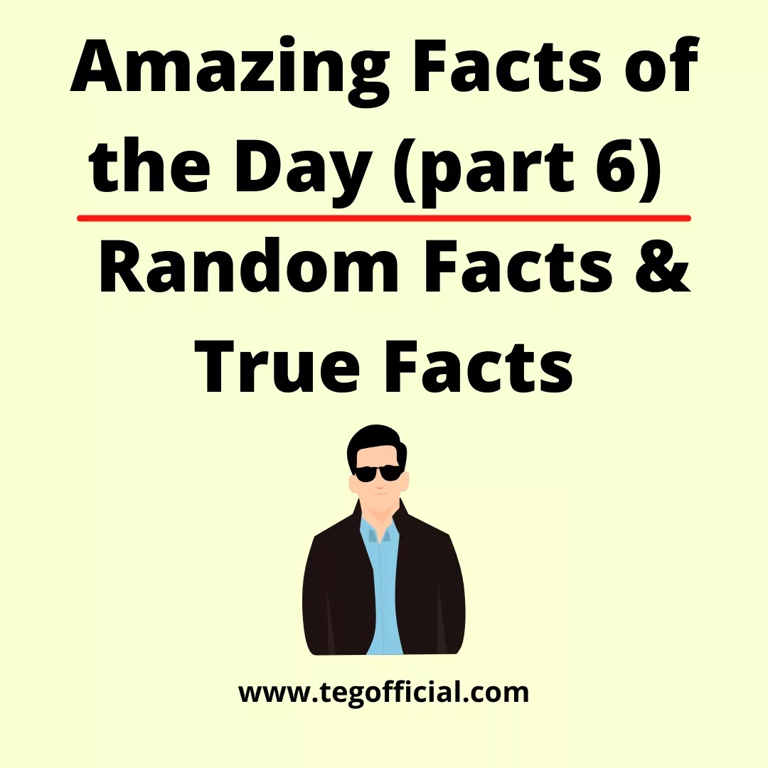 Amazing Facts of the Day (part 6) | Random Facts | True Facts - TEGOFFICIAL.COM